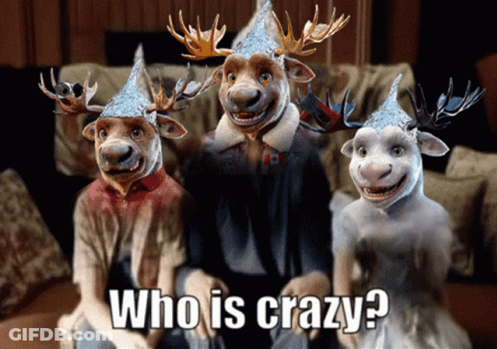 Tin Hat Moose Faces GIF
