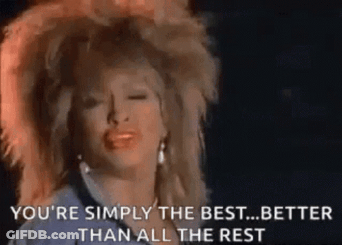 Tina Turner Singing You The Best GIF