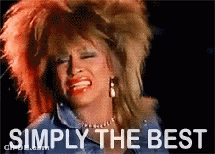 Tina Turner Youre Simply The Best GIF