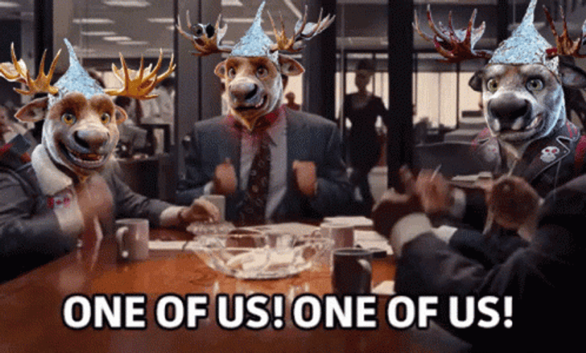 Tinfoil Hat One Of Us Meme GIF