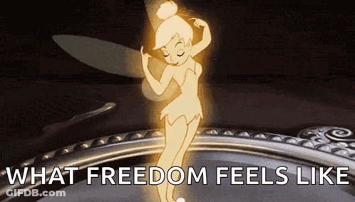 Tinkerbell Dancing What Freedom Feels Like GIF