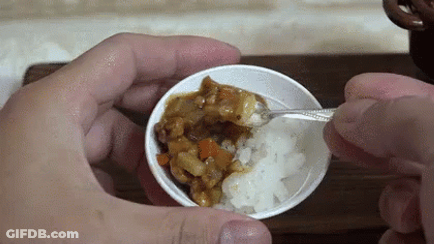 Tiny Cup Of Curry Rice Trend GIF
