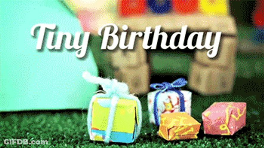 Tiny Hedgehog Birthday Celebration Gifts GIF