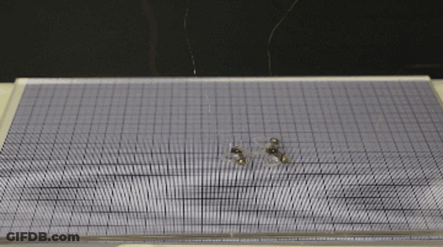 Tiny Insect Robot GIF