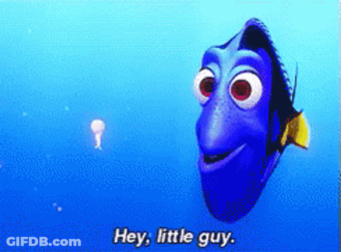 Tiny Jelly Fish Teasing By Dory GIF