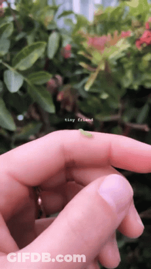 Tiny Worm Crawling On Fingers GIF