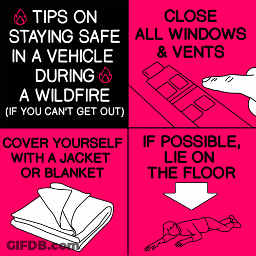 Tips On Staying Safe In A Vehicle During A Wildfire If You Can 'T Get Out GIF