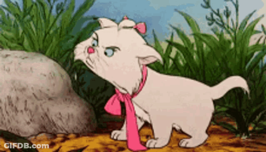 Tire La Langue Cat GIF