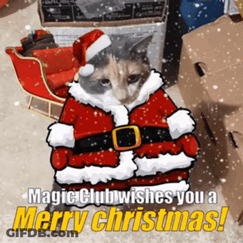 Tired Cat Merry Christmas Meme GIF