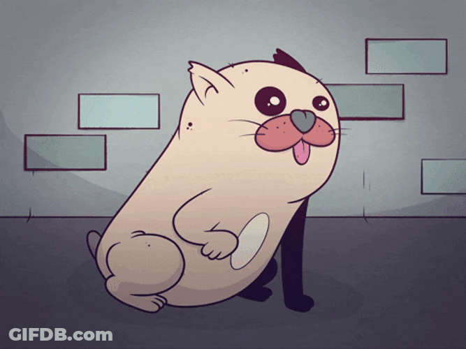 Tired Cat Night Night GIF