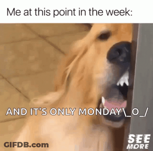 Tired Dog It's Only Monday Work Meme GIF