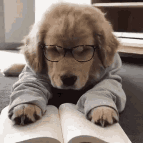 Tired Dog Studying GIF