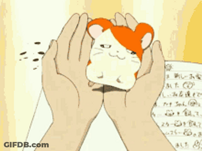 Tired Hamtaro Nap Owner Hands Lay Down GIF