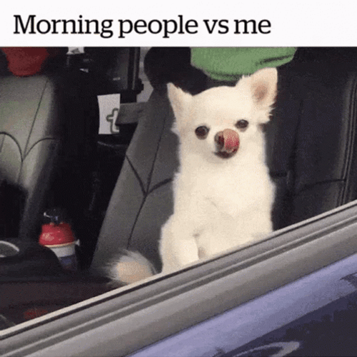Tired Meme As A Morning Person GIF