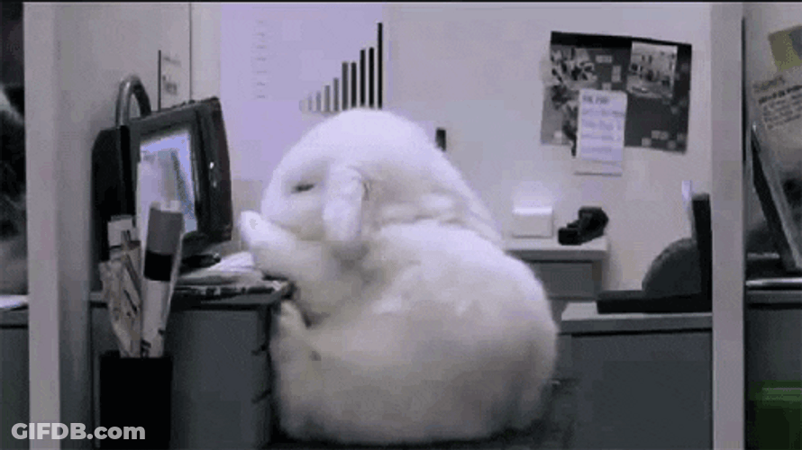 Tired Monday Work Meme GIF