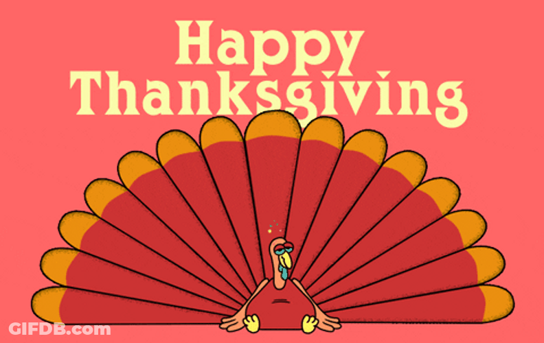 Tired Thanksgiving Turkey Meme GIF