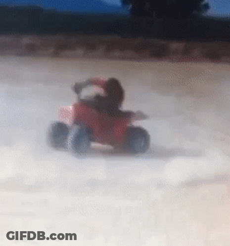 Titi Roulade Titi Quad GIF