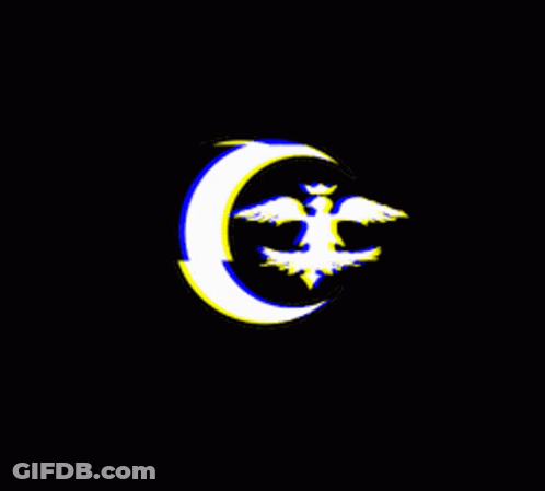 Tmi Anka GIF