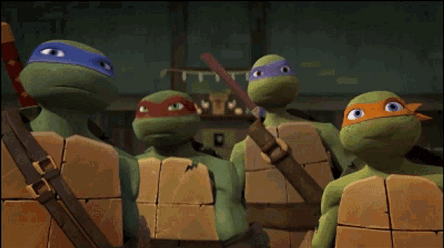 Tmnt Donnie GIF