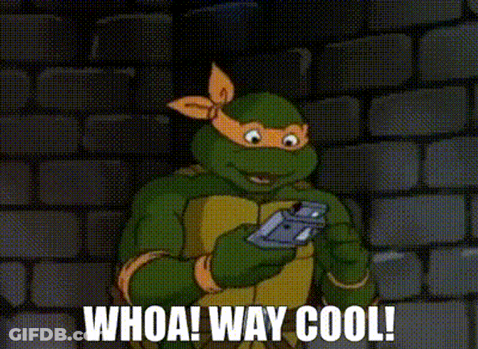 Tmnt Michelangelo GIF