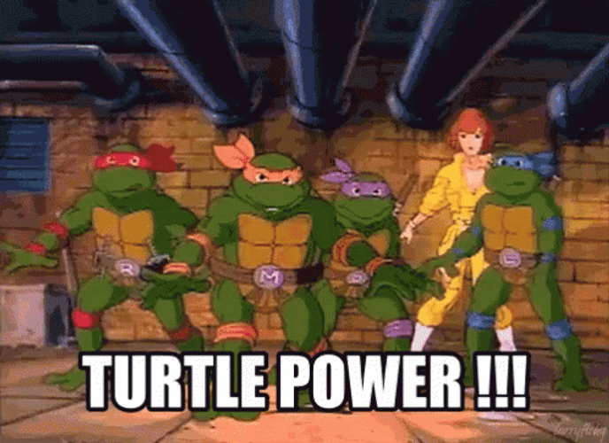 Tmnt Ninja Turtle Power Fight GIF