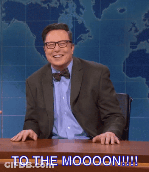 To The Moon Elon Musk Raising Hand GIF