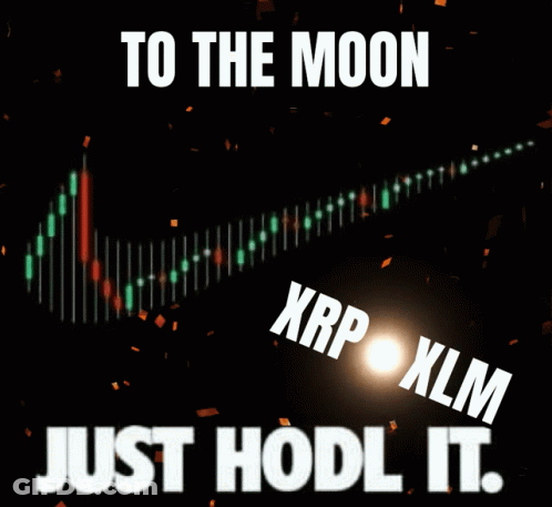 To The Moon Just Hodl It Poster GIF