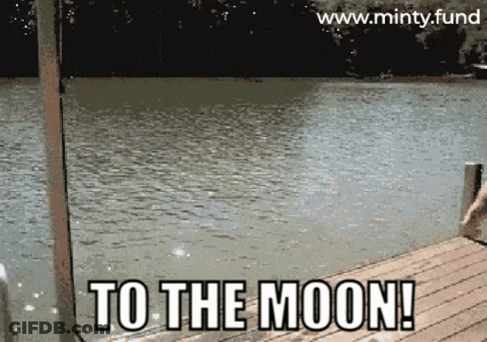 To The Moon Man Rocket GIF