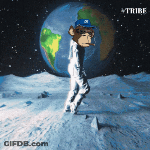To The Moon Monkey Moon Dance GIF