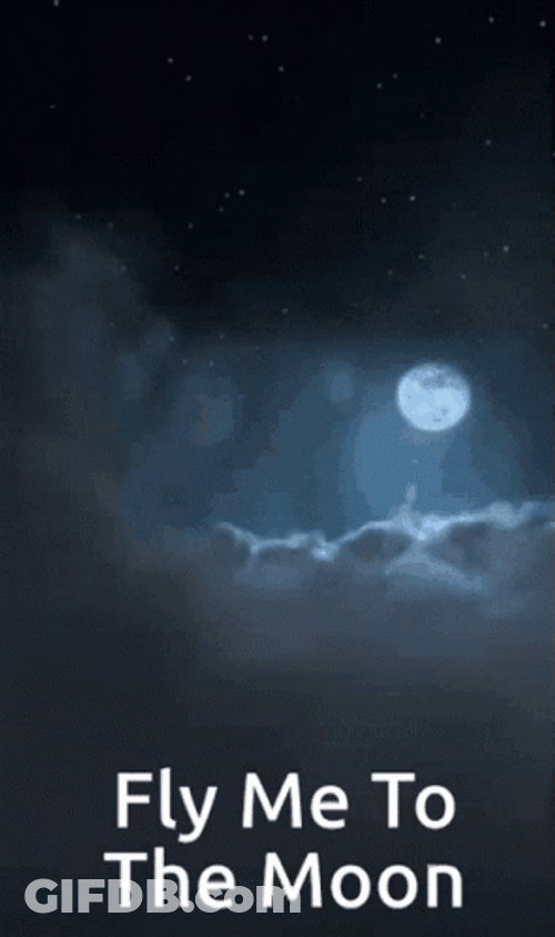 To The Moon Up Sky And The Moon GIF