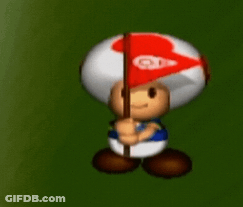 Toad Holding Red Flag Number 28 GIF