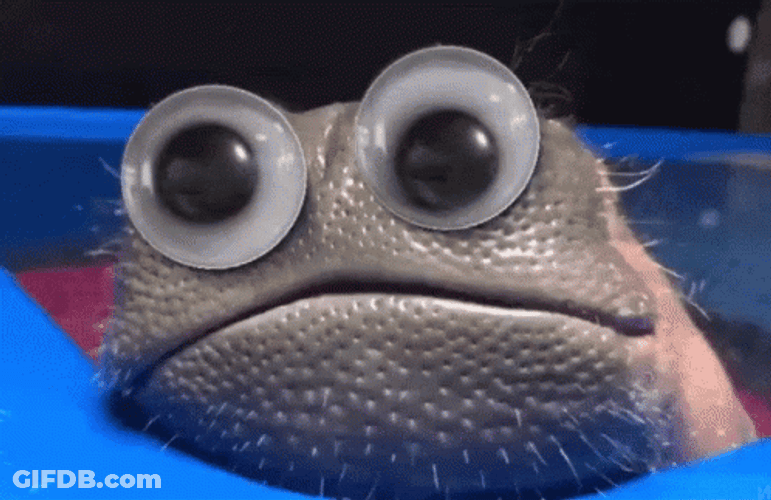 Toad Tongue Out Googly Eyes GIF