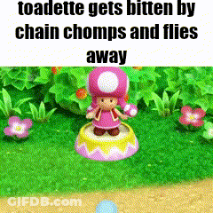 Toadette Gets Bitten By Chain Chomps And Flies Away In A Game GIF