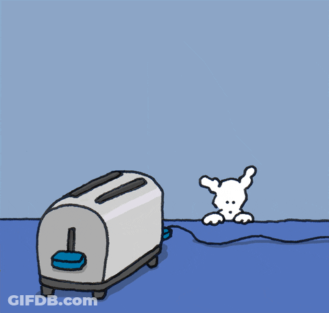 Toast Pop With Chippy The Dog GIF