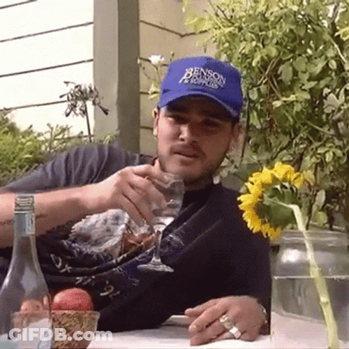 Toast GIF