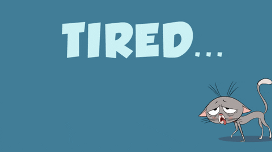 Today Drained Me Cat Walking Slowly GIF