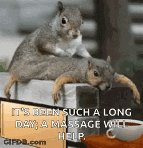 Today Drained Me Two Squirrels GIF