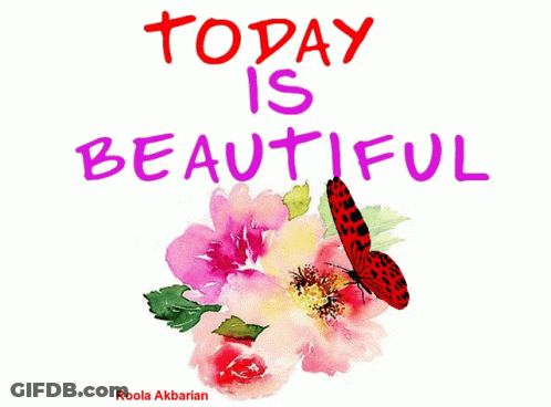 Today Is Beautiful Poster With Butterfly And Flowers GIF
