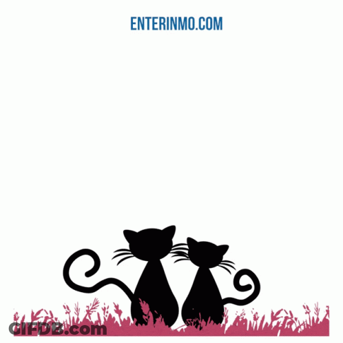 Today Wish Happily Ever After Poster GIF