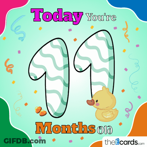 Today You're 11 Months Old Duck Card GIF