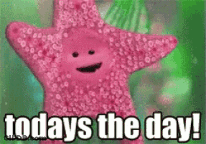 Todays The Day! - Finding Nemo GIF