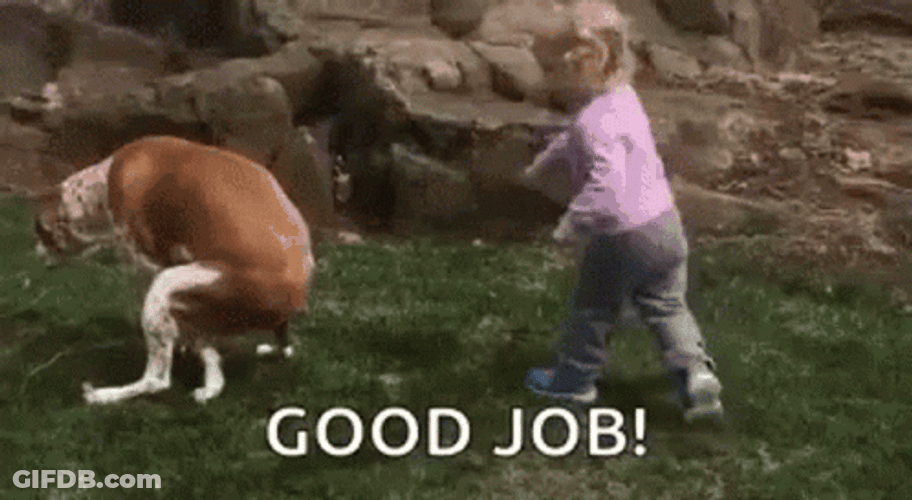 Toddler Pat On The Back On Dog Pooping GIF