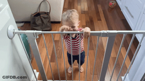 Toddler Standing Behind Gate GIF