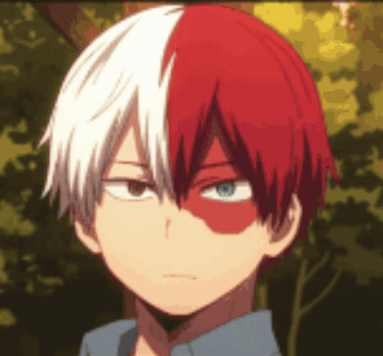 Todoroki Shoto Blink GIF