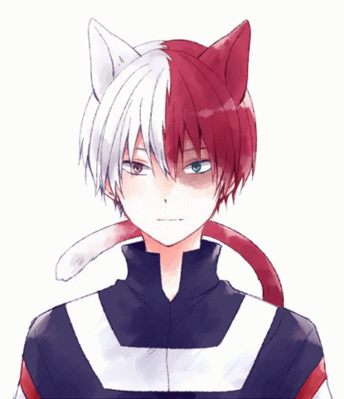 Todoroki Shoto Cat Ears GIF