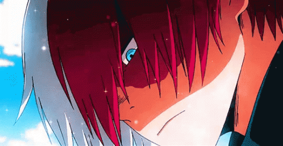 Todoroki Shoto Head Low GIF