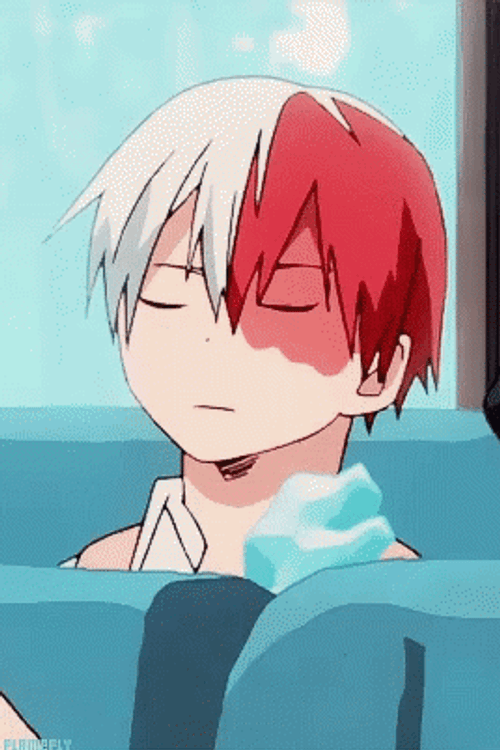 Todoroki Shoto Sleeping In Bus GIF
