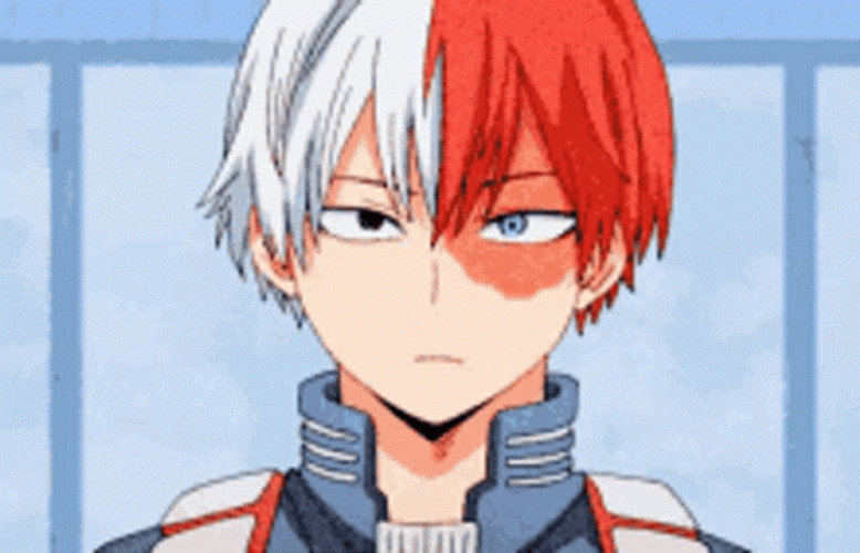 Todoroki Shoto Smile GIF