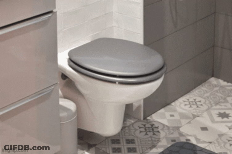 Toilet Bowl Repair Image Compilation GIF