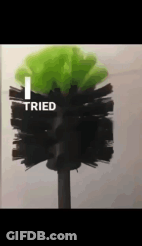 Toilet Brush With Word Tried GIF